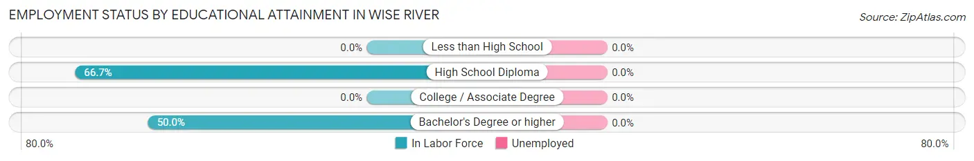 Employment Status by Educational Attainment in Wise River