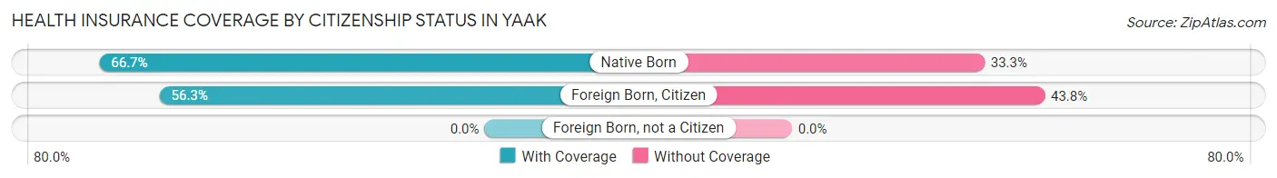 Health Insurance Coverage by Citizenship Status in Yaak