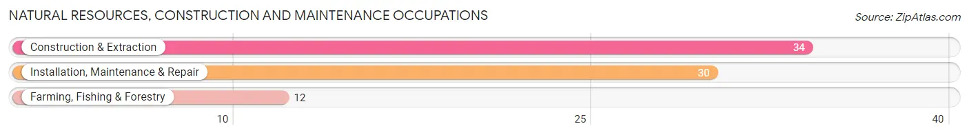 Natural Resources, Construction and Maintenance Occupations in Ahoskie