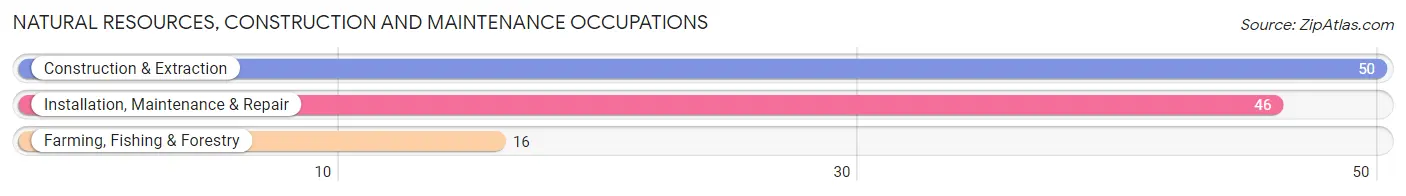 Natural Resources, Construction and Maintenance Occupations in Andrews