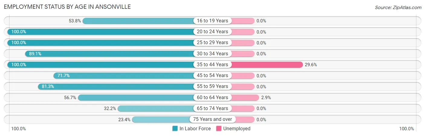 Employment Status by Age in Ansonville
