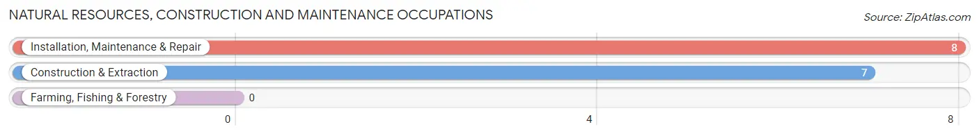 Natural Resources, Construction and Maintenance Occupations in Ansonville