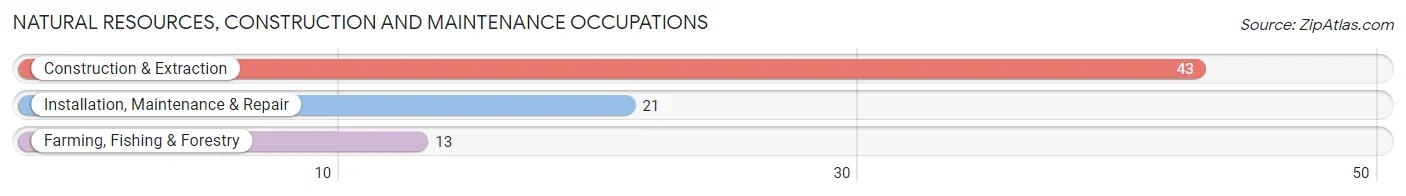 Natural Resources, Construction and Maintenance Occupations in Atlantic Beach