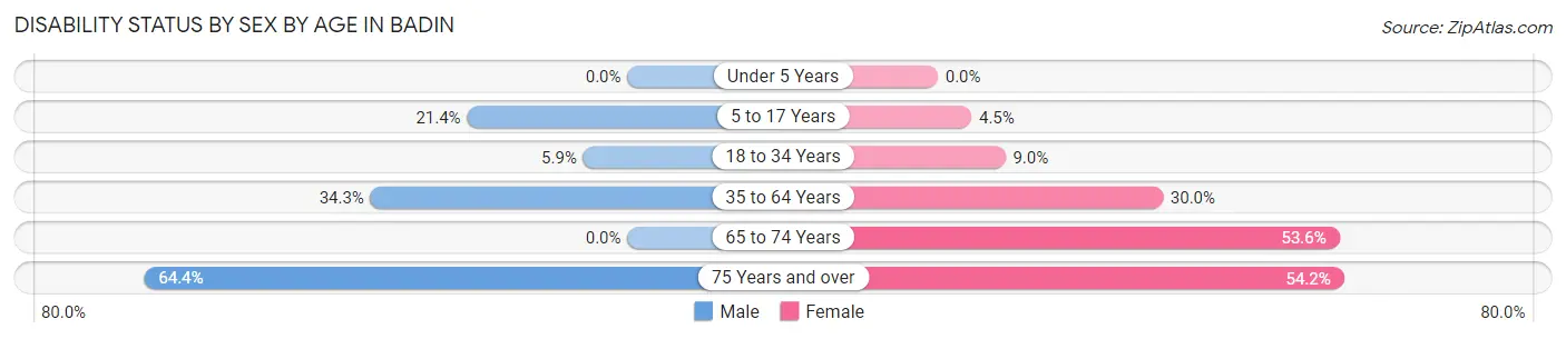 Disability Status by Sex by Age in Badin