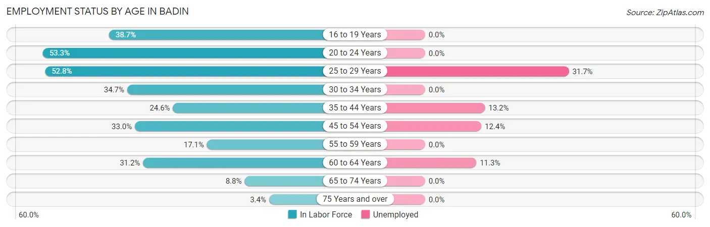 Employment Status by Age in Badin