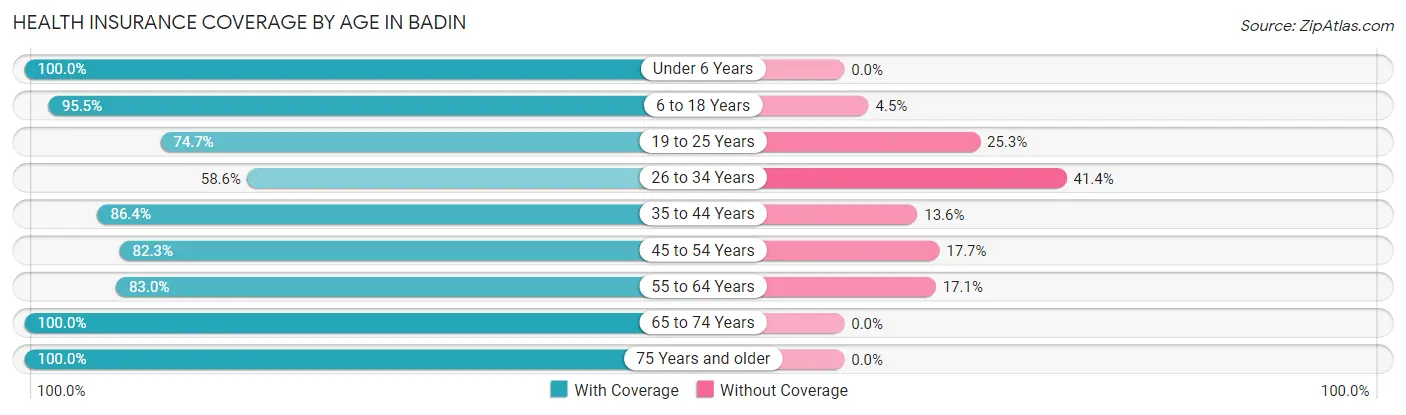 Health Insurance Coverage by Age in Badin