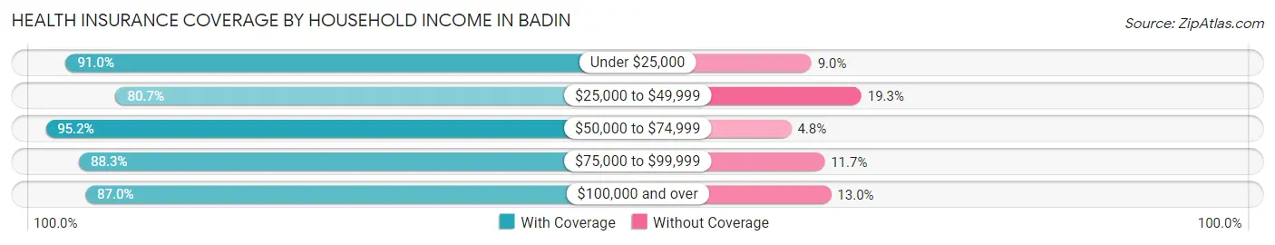 Health Insurance Coverage by Household Income in Badin