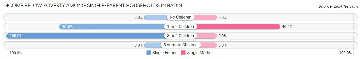 Income Below Poverty Among Single-Parent Households in Badin