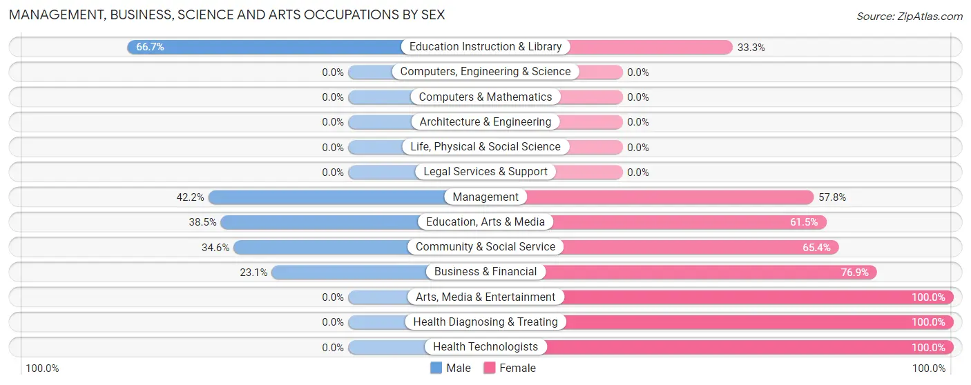 Management, Business, Science and Arts Occupations by Sex in Badin