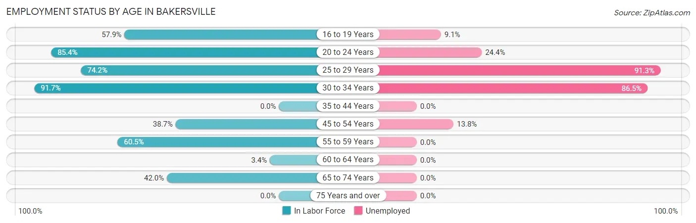 Employment Status by Age in Bakersville