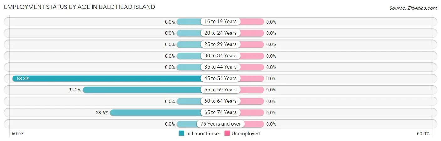 Employment Status by Age in Bald Head Island