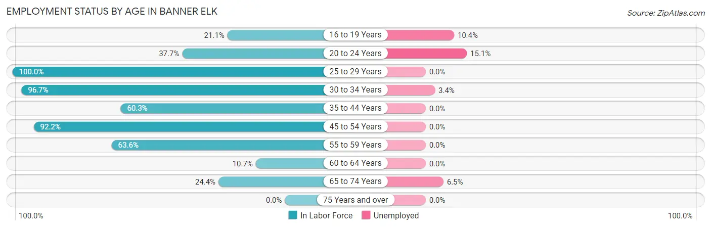 Employment Status by Age in Banner Elk