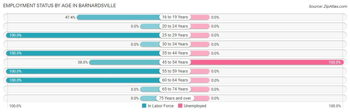 Employment Status by Age in Barnardsville