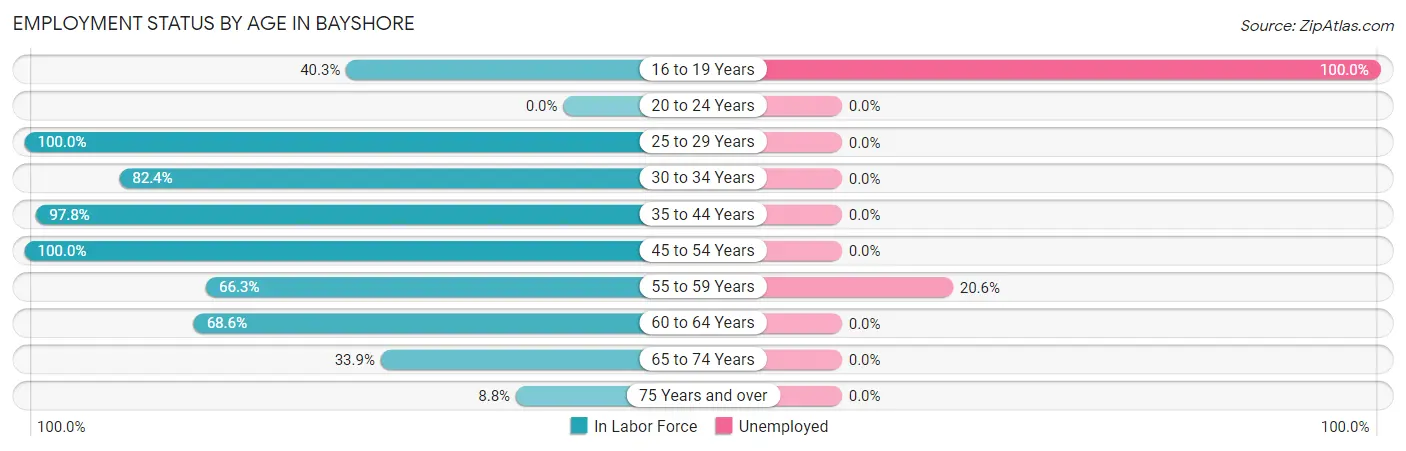 Employment Status by Age in Bayshore