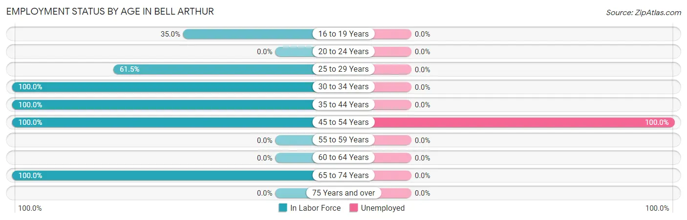 Employment Status by Age in Bell Arthur
