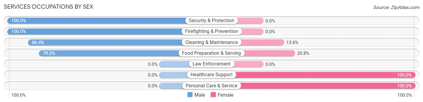 Services Occupations by Sex in Bessemer City