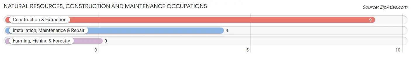 Natural Resources, Construction and Maintenance Occupations in Beulaville