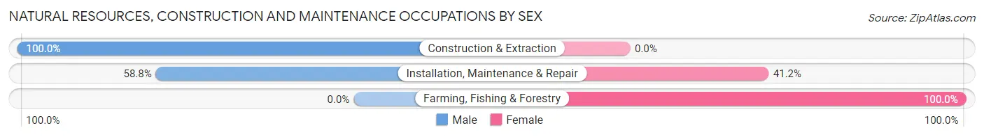 Natural Resources, Construction and Maintenance Occupations by Sex in Biscoe