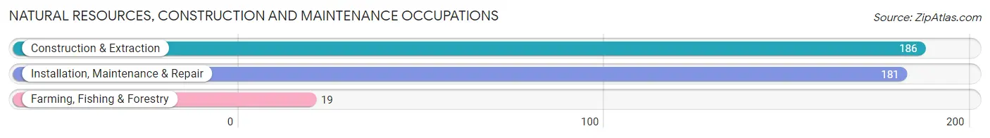 Natural Resources, Construction and Maintenance Occupations in Black Mountain