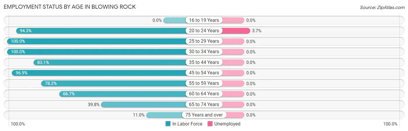 Employment Status by Age in Blowing Rock