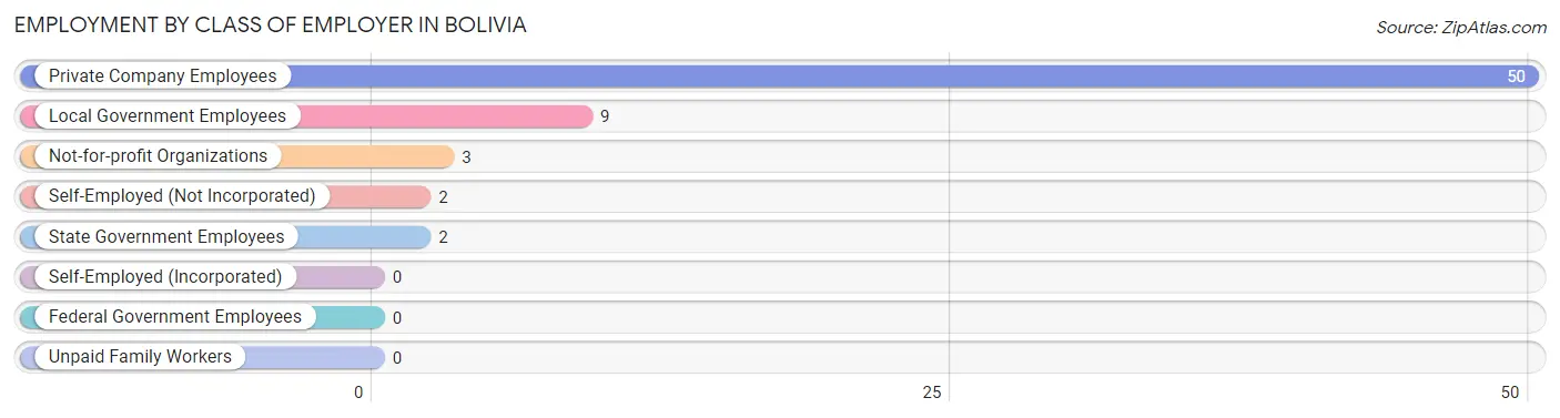 Employment by Class of Employer in Bolivia