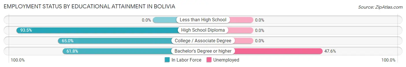 Employment Status by Educational Attainment in Bolivia