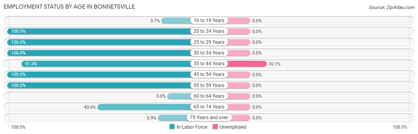 Employment Status by Age in Bonnetsville