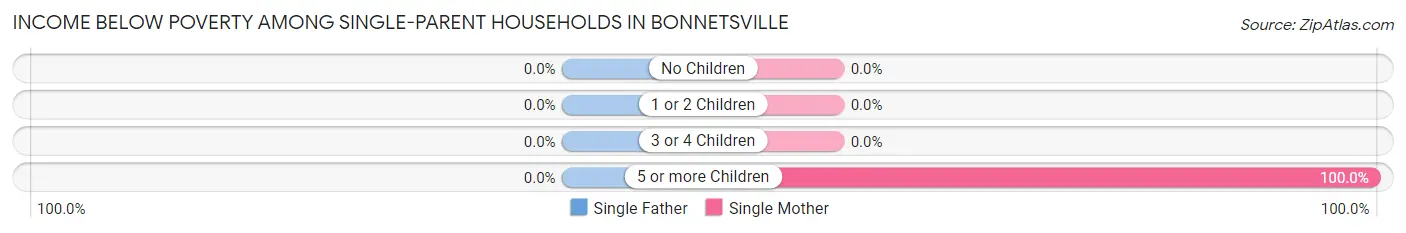Income Below Poverty Among Single-Parent Households in Bonnetsville