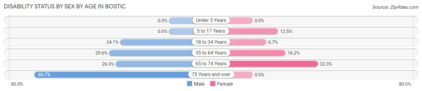 Disability Status by Sex by Age in Bostic
