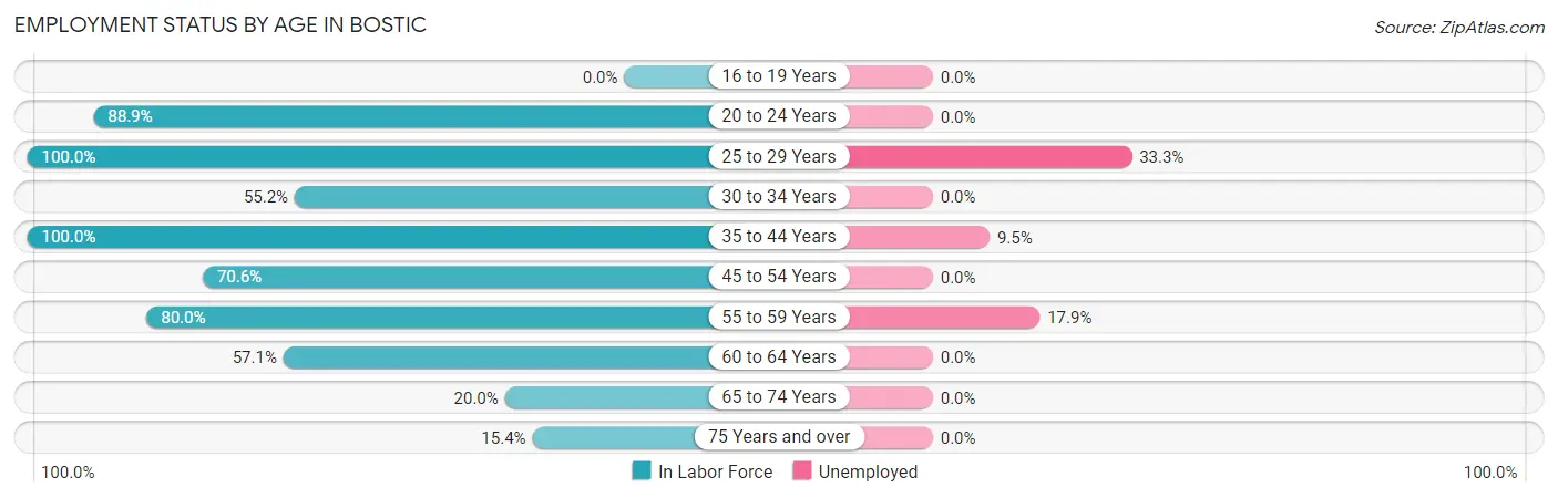 Employment Status by Age in Bostic