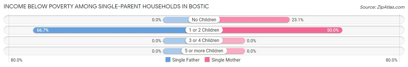 Income Below Poverty Among Single-Parent Households in Bostic