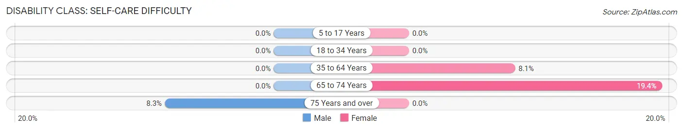 Disability in Bostic: <span>Self-Care Difficulty</span>