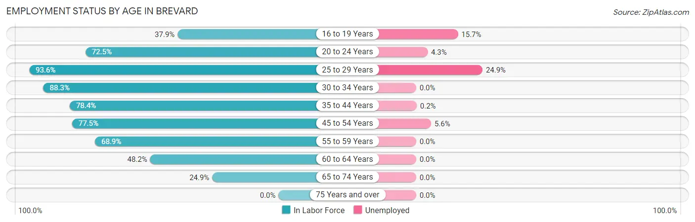 Employment Status by Age in Brevard