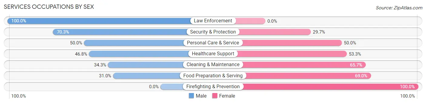 Services Occupations by Sex in Brevard