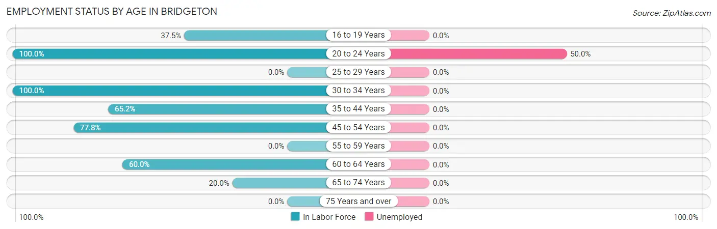 Employment Status by Age in Bridgeton