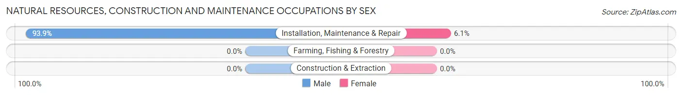 Natural Resources, Construction and Maintenance Occupations by Sex in Brookford