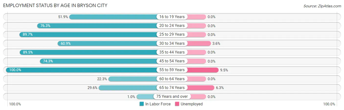 Employment Status by Age in Bryson City