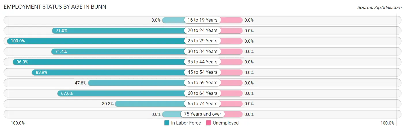 Employment Status by Age in Bunn