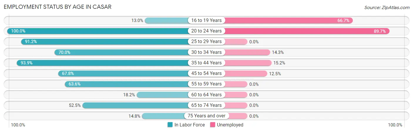 Employment Status by Age in Casar