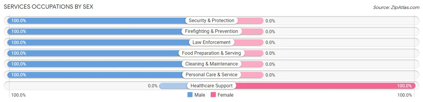 Services Occupations by Sex in Casar