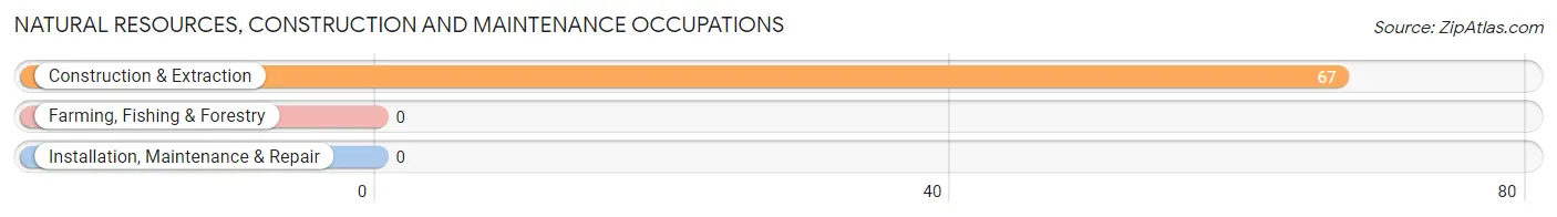 Natural Resources, Construction and Maintenance Occupations in Cashiers