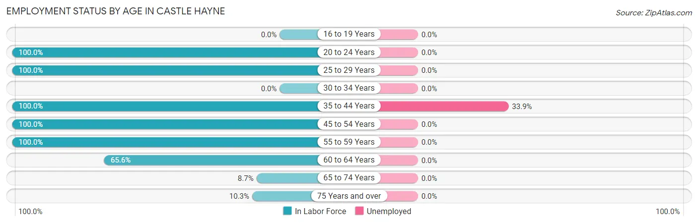 Employment Status by Age in Castle Hayne