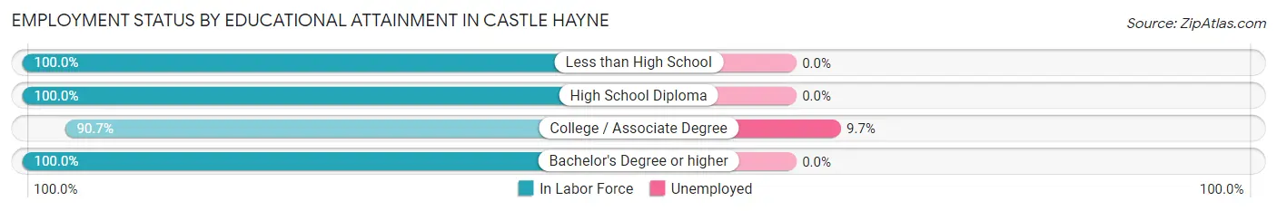 Employment Status by Educational Attainment in Castle Hayne