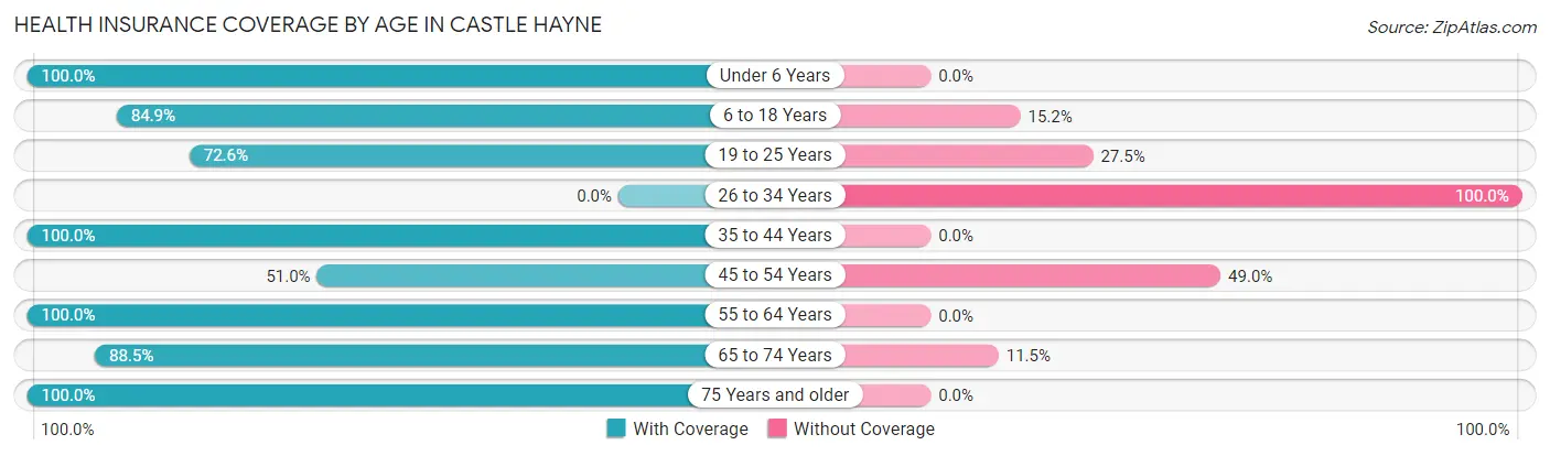 Health Insurance Coverage by Age in Castle Hayne