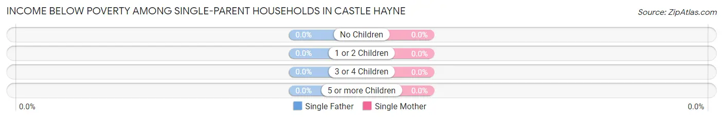 Income Below Poverty Among Single-Parent Households in Castle Hayne