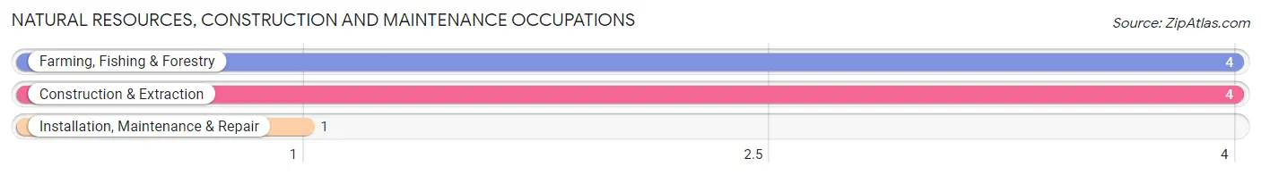 Natural Resources, Construction and Maintenance Occupations in Catawba