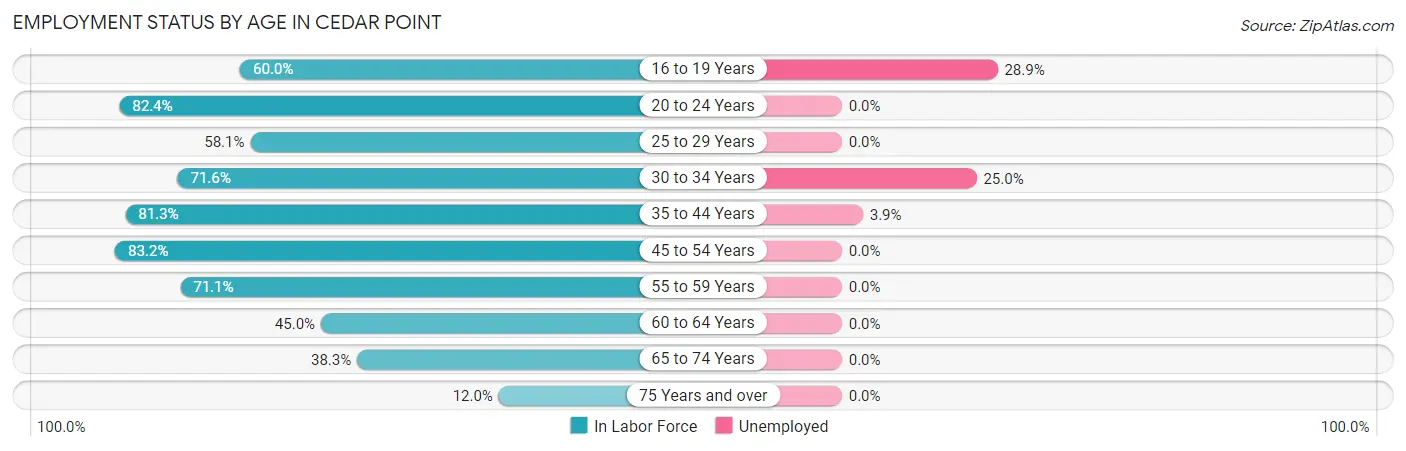 Employment Status by Age in Cedar Point