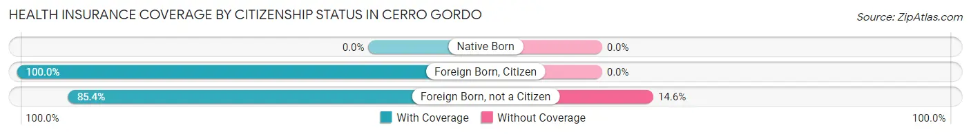 Health Insurance Coverage by Citizenship Status in Cerro Gordo
