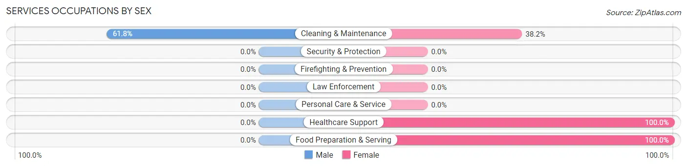 Services Occupations by Sex in Cerro Gordo
