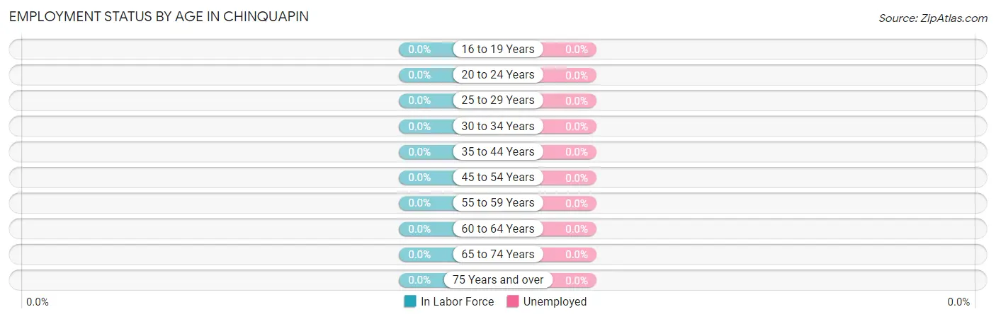 Employment Status by Age in Chinquapin